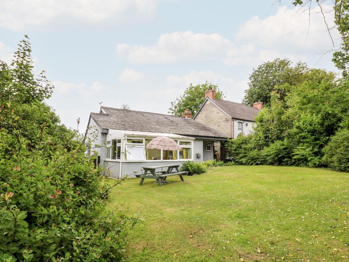 Villa Maesgwyn à Cardigan Extérieur photo